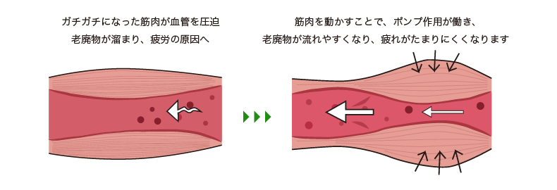 身体のメンテナンスを行うストレッチ