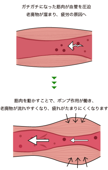 身体のメンテナンスを行うストレッチ